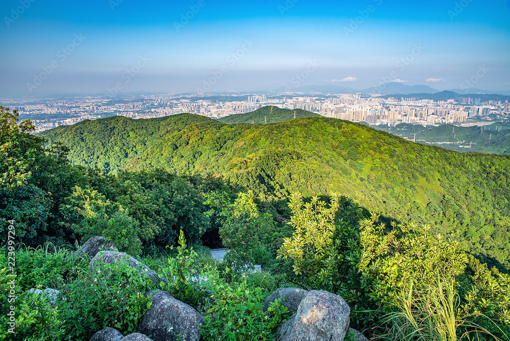 深圳羊台山森林公园风光