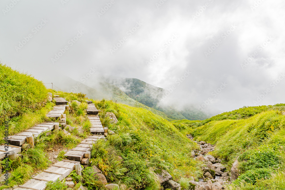 初秋の登山道　山形県月山