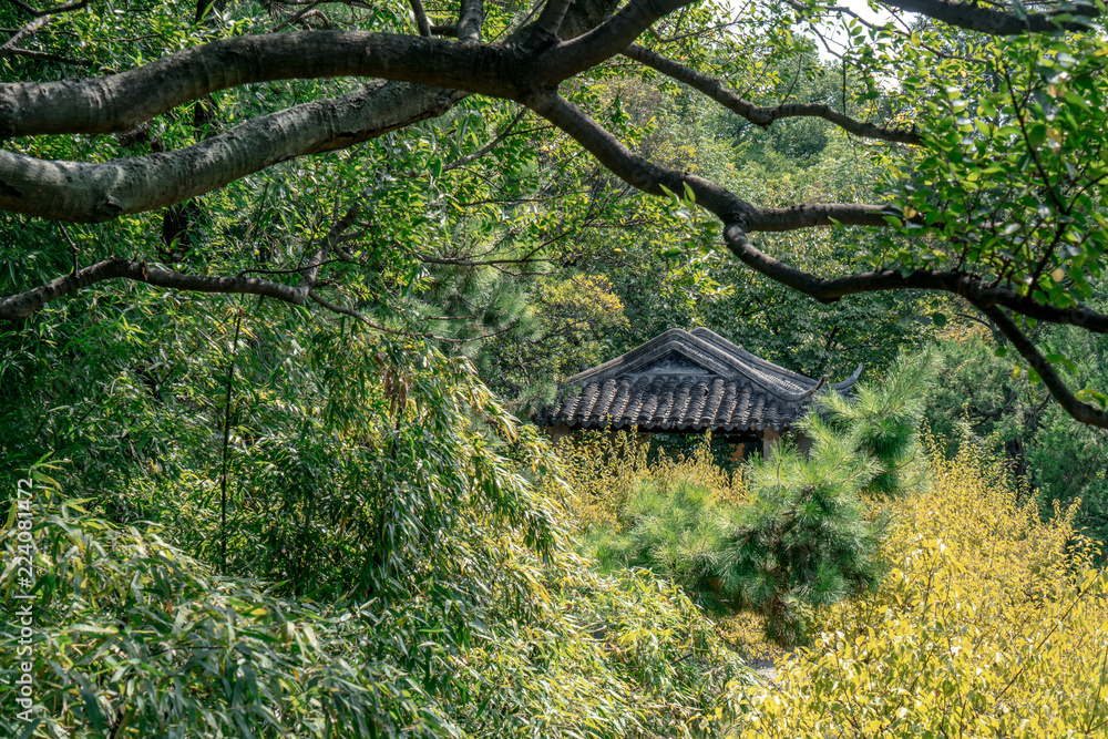 苏州园林，传统建筑