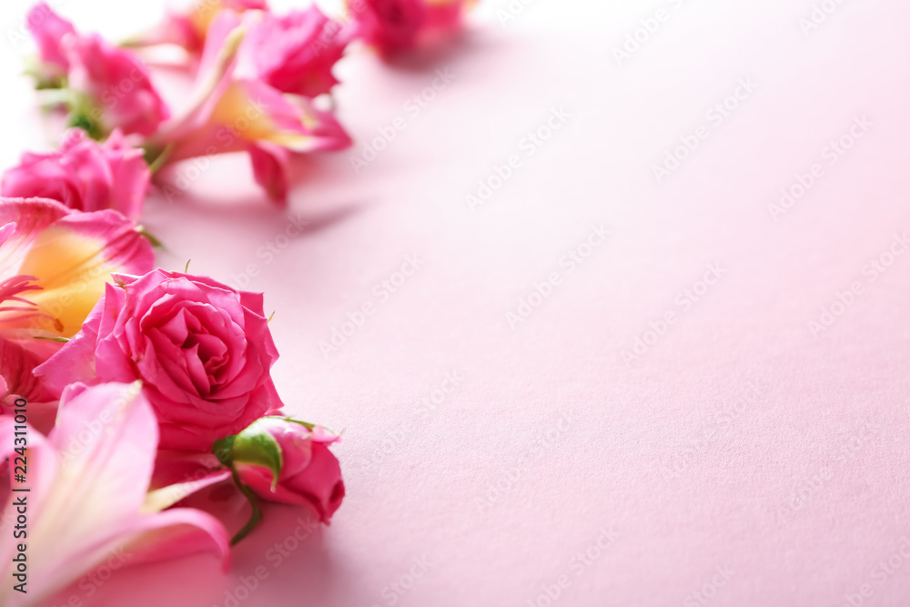 Beautiful blooming flowers on color background