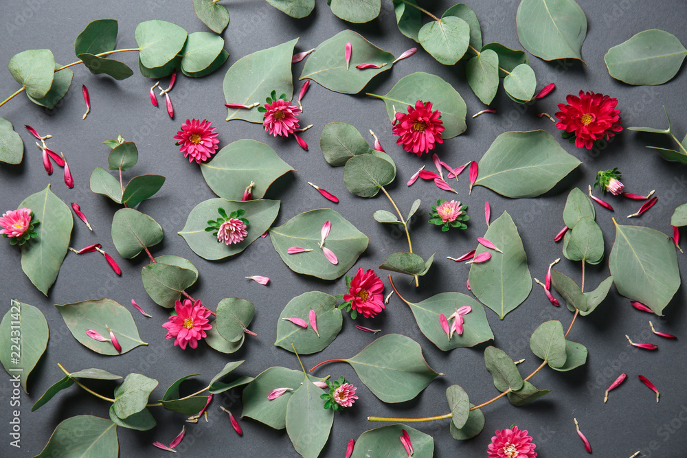 Green eucalyptus leaves and chrysanthemum flowers on grey background