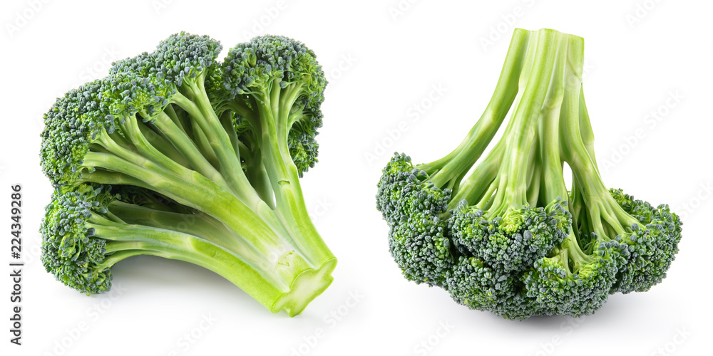 Broccoli. Broccoli isolated.