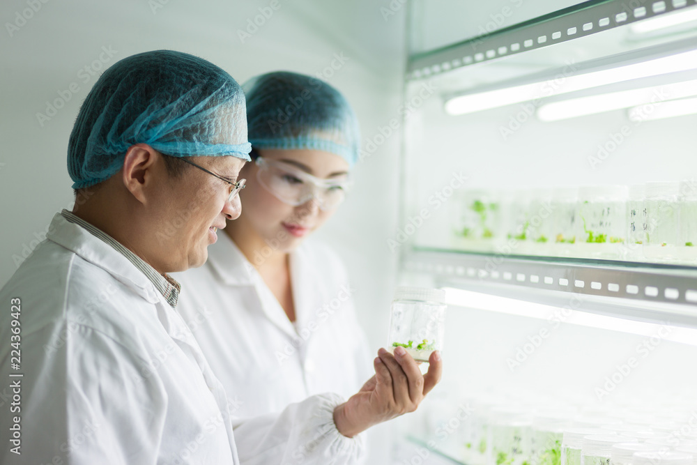 people working at laboratory