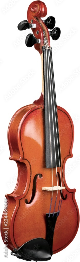 Front View of a Violin, Isolated