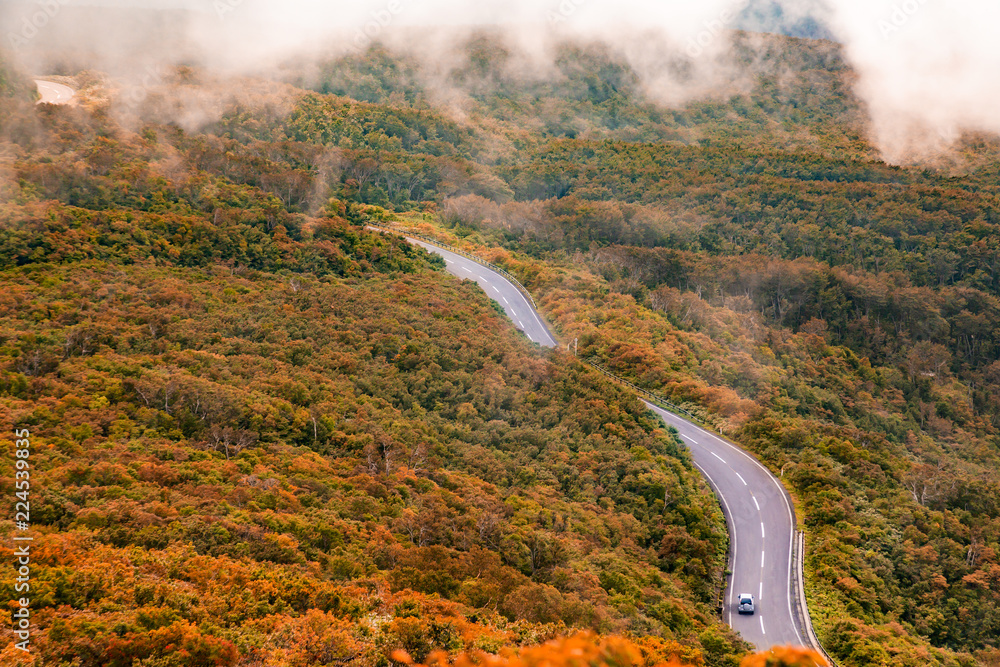 山中の道路