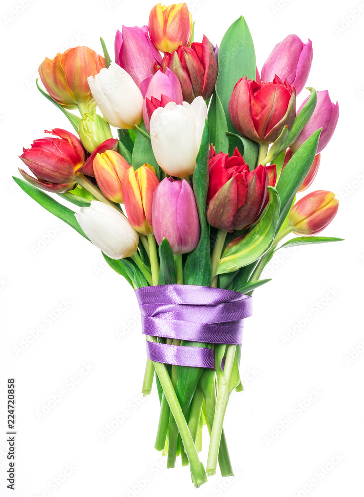 Colorful bouquet of tulips on white background.