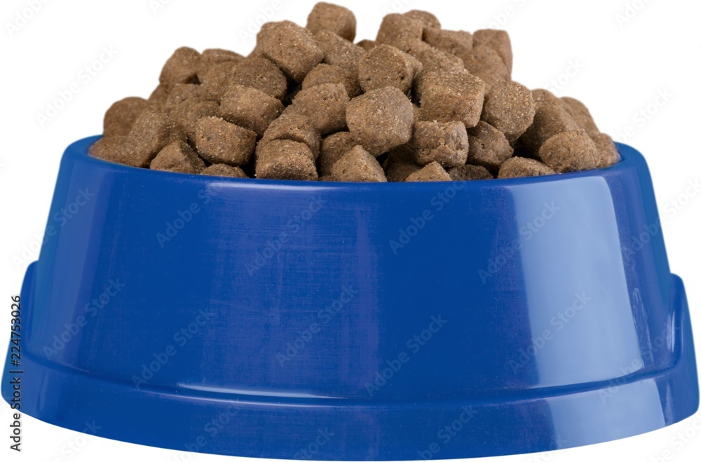 Dog Bowl with Dry Food Isolated