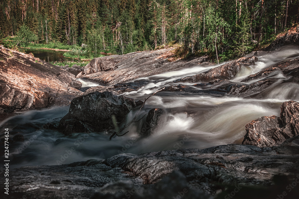 river in the forest