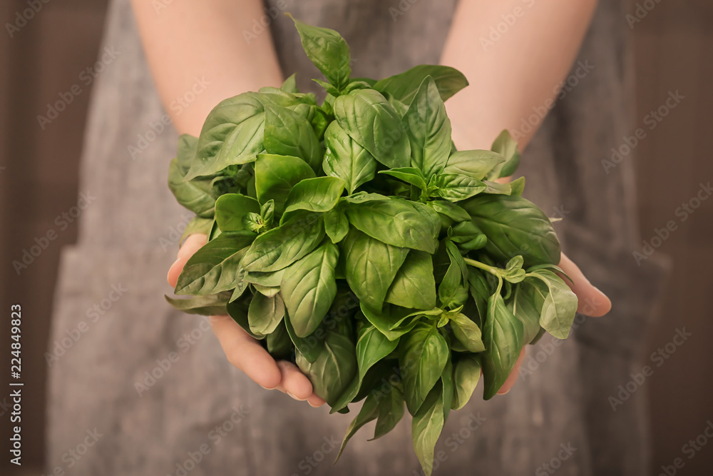 Woman with bunch of fresh green basil, closeup