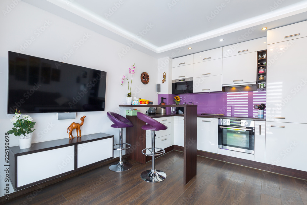 Modern living room with kitchen interior