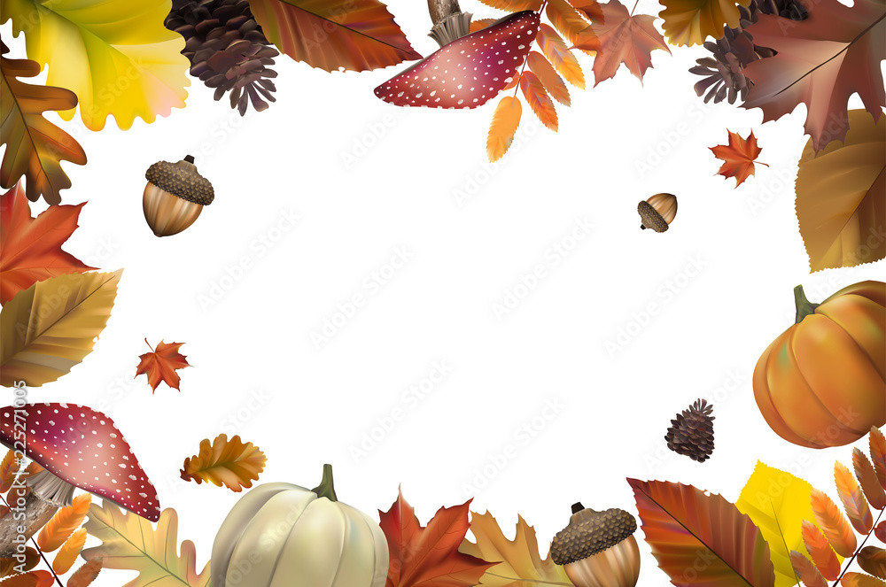 Collection of autumn leaves vector