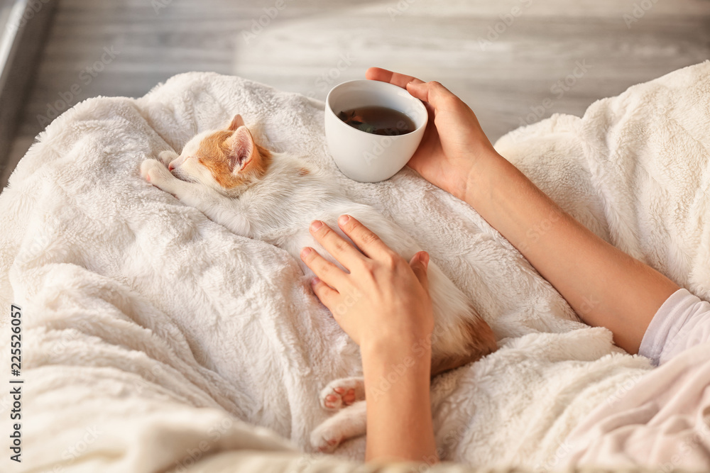 带着可爱小猫的女人在家喝茶