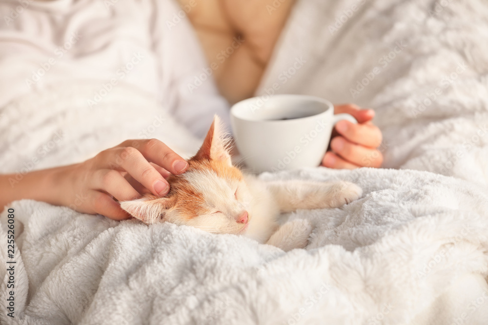 女人带着可爱的小猫在家喝茶，特写