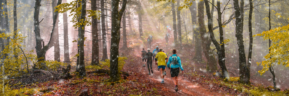 Joggen beim ersten Schneefall im Herbst, stimmungsvolles Waldpanorama 