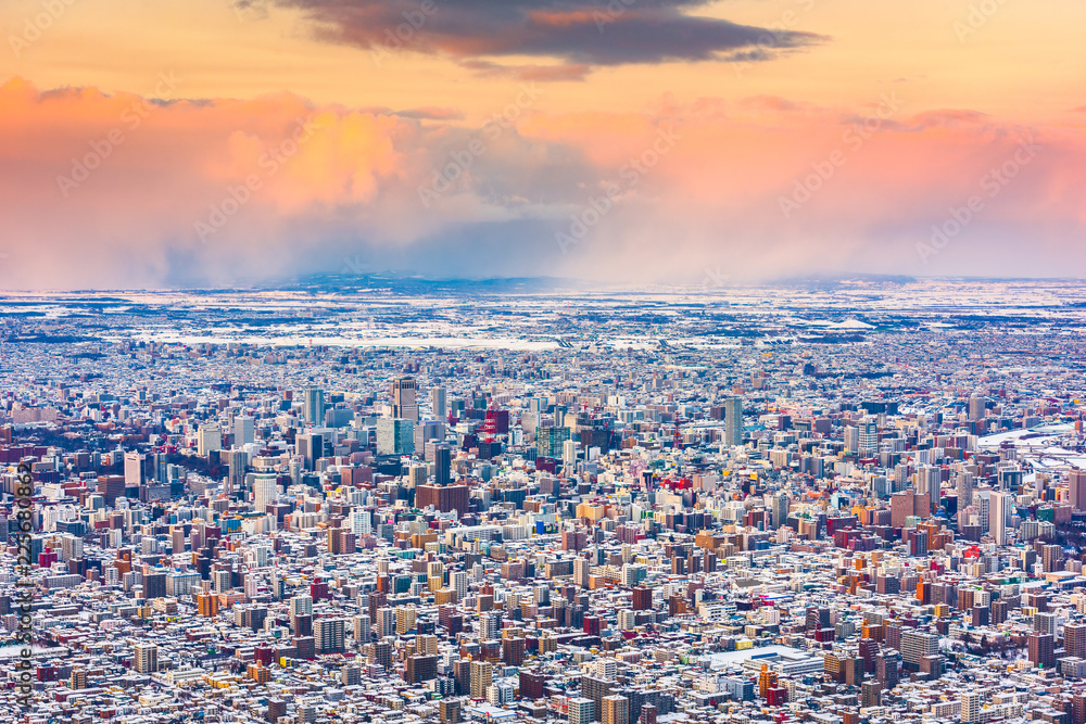 Sapporo, Japan Winter Skyline