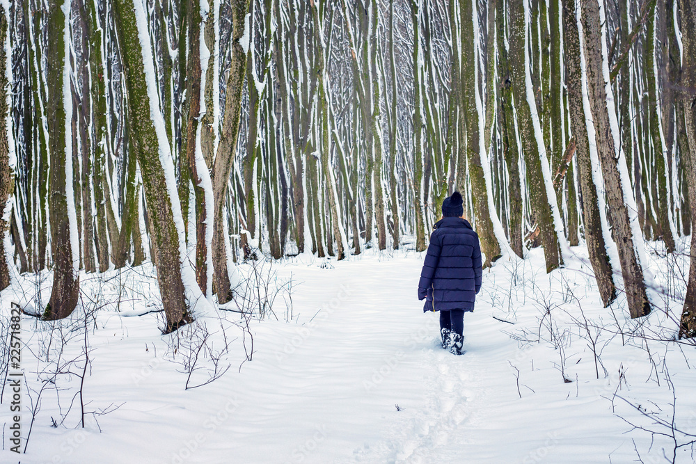 Walking in the winter forest. Lonely girl in the forest in the winter_