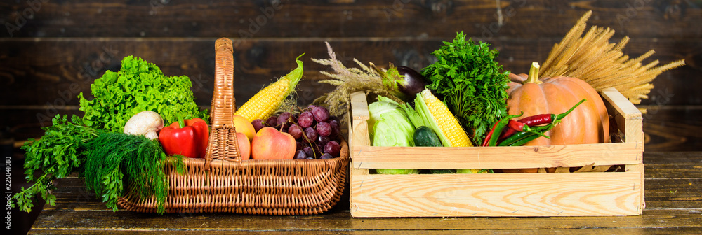 Fall harvest concept. Vegetables from garden or farm on wooden background. Autumn harvest organic cr