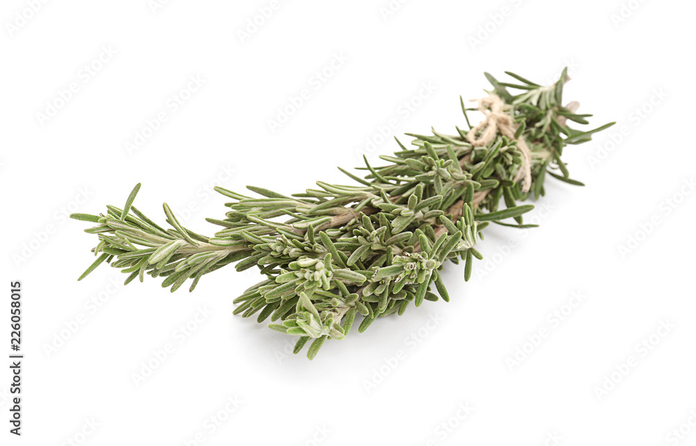 Fresh green rosemary on white background