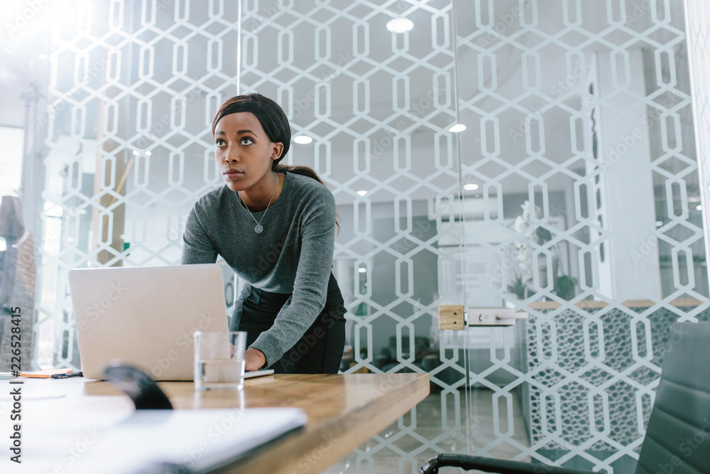 Female executive preparing a presentation for meeting