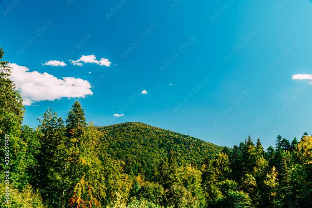 罗马尼亚美丽的喀尔巴阡山脉夏季景观