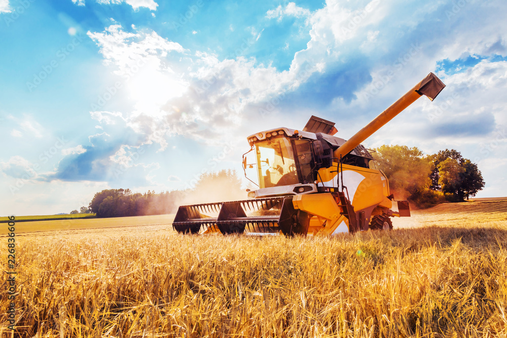 Combine harvesters Agricultural machinery. The machine for harvesting grain crops.