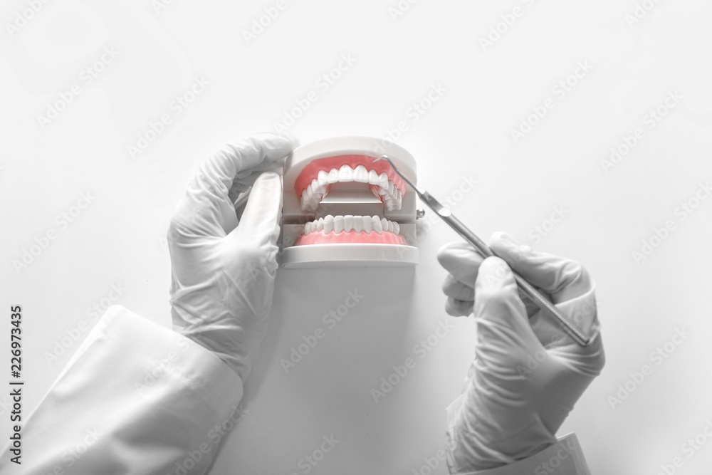 Dentist with artificial jaw and dental tool on white background