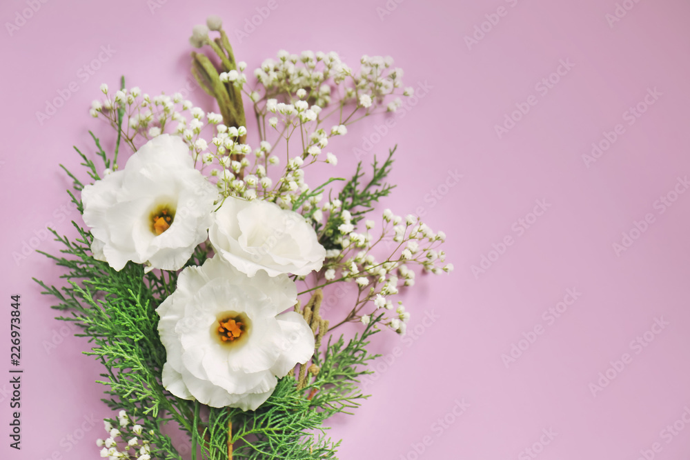 Beautiful flowers on color background