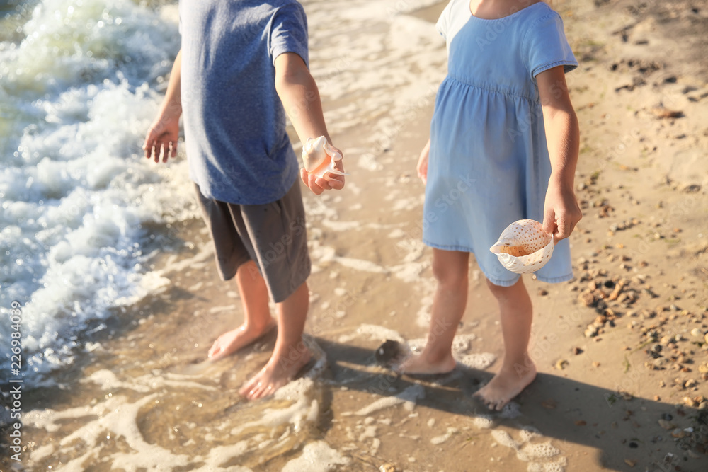 Cute little children with sea shells on beach