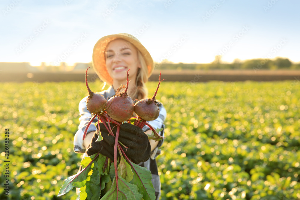 地里种着甜菜根的女农民