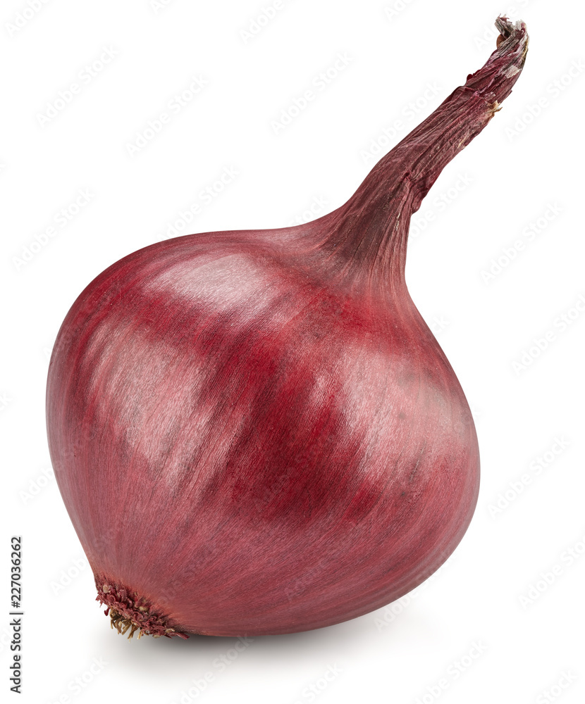 onion Isolated on white