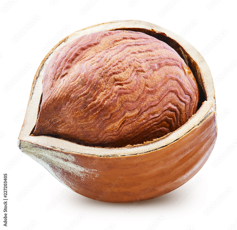 Hazelnut isolated Clipping Path