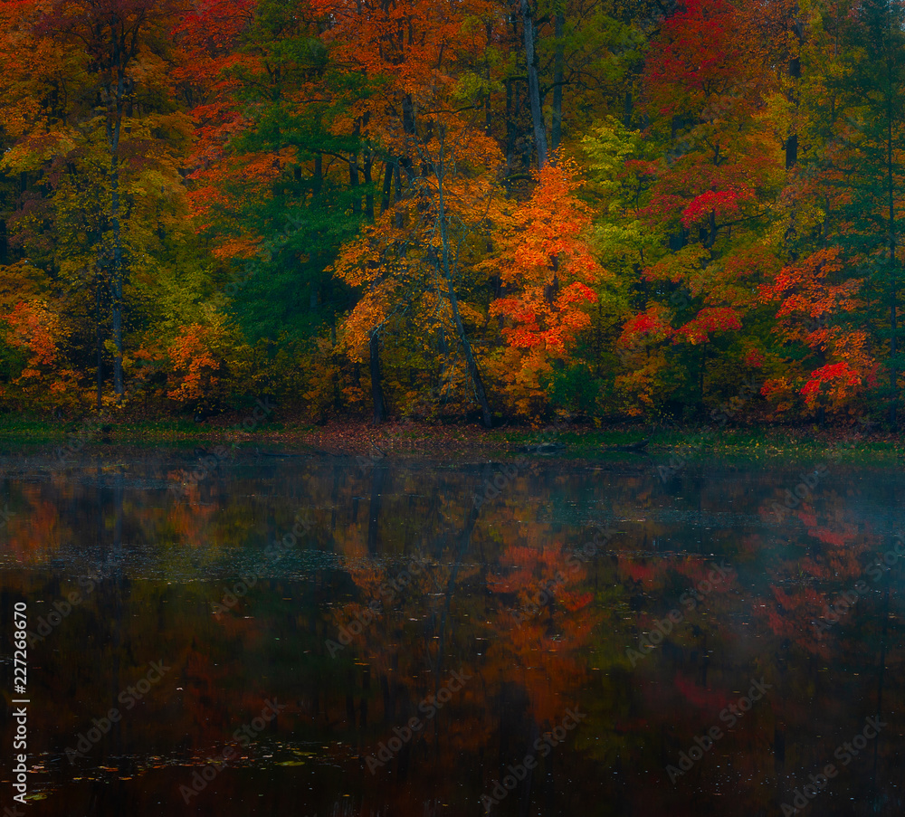 autumn next to lake