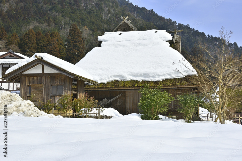 里山の雪