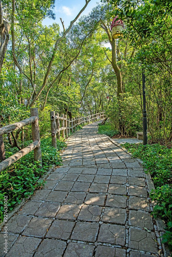 Shenzhen Nanshan Park Mountaineering Road / Forest Trail