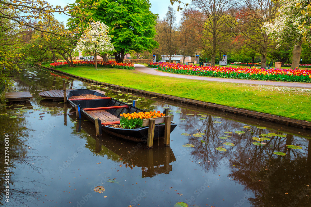 Ornamental boat and colorful fresh tulips in Keukenhof park, Netherlands