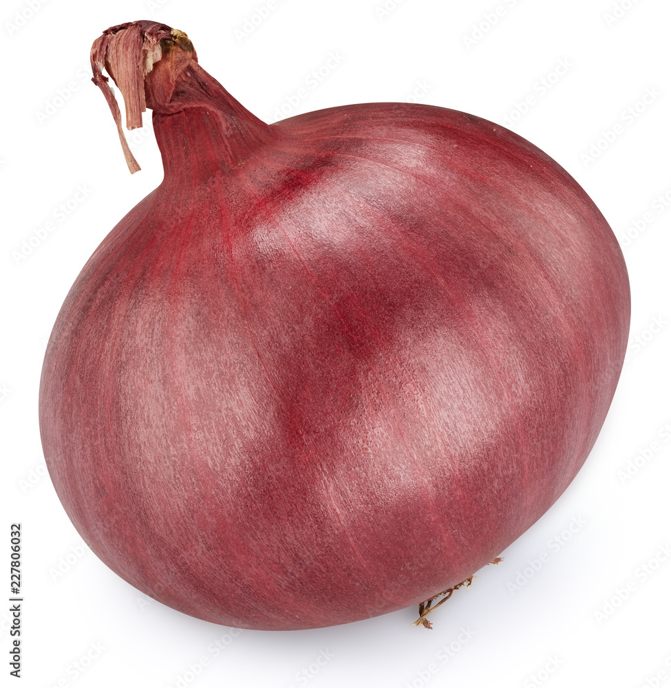 onion Isolated on white