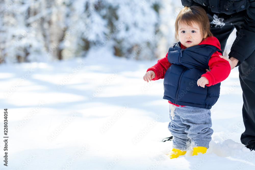 蹒跚学步的男孩和他的父亲在雪地里玩耍