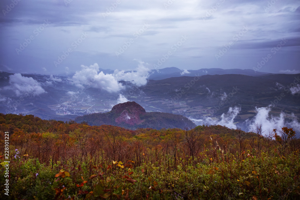 日本北海道昭和县秋季树叶颜色变化