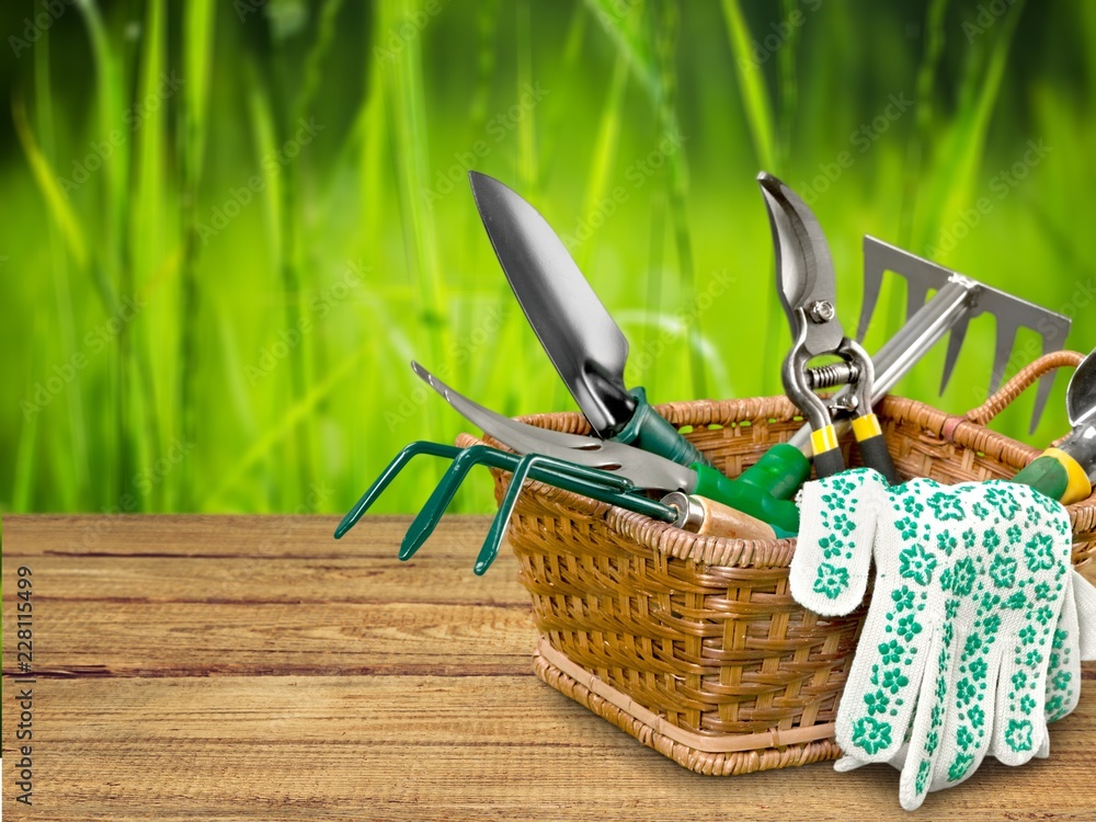 Group of Gardening tools on background