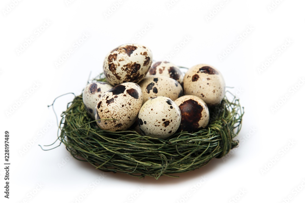 Quail Eggs In Bird Nest