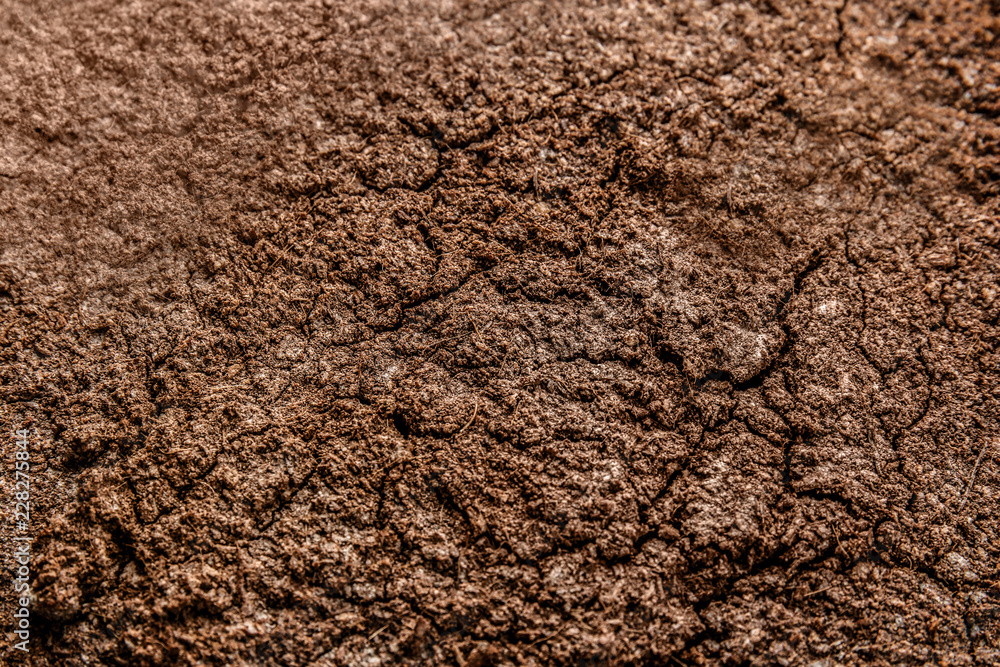 Soil texture, closeup