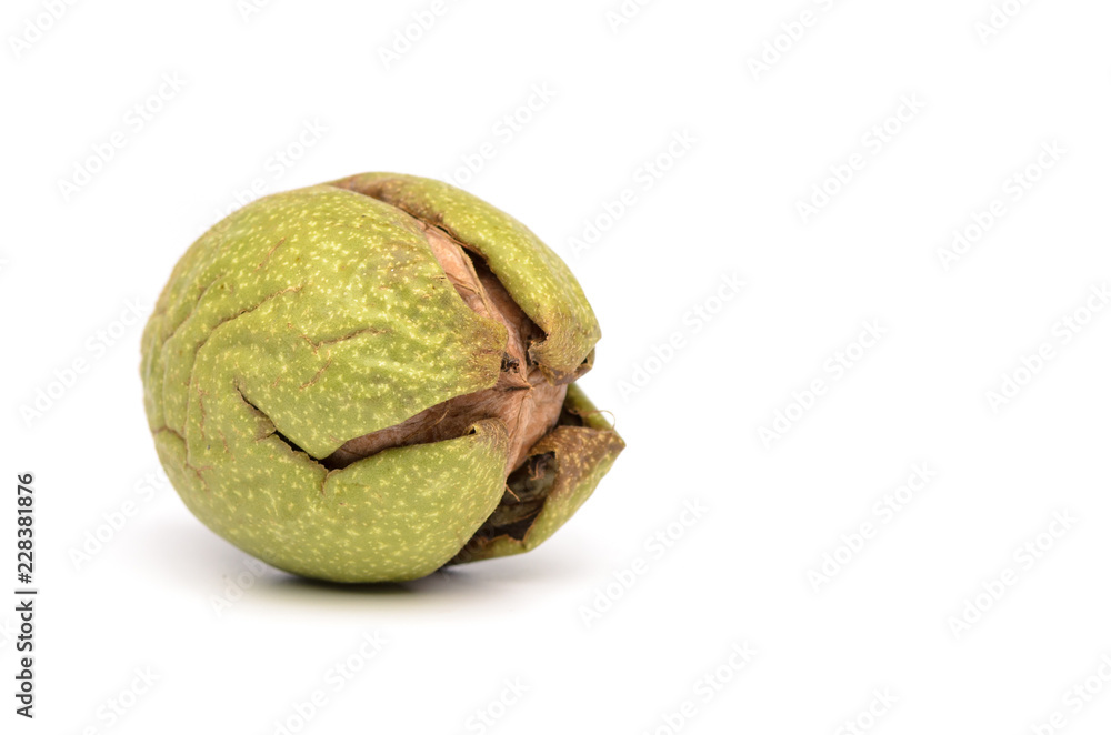 Ripe Walnut in Green Skin On White Background