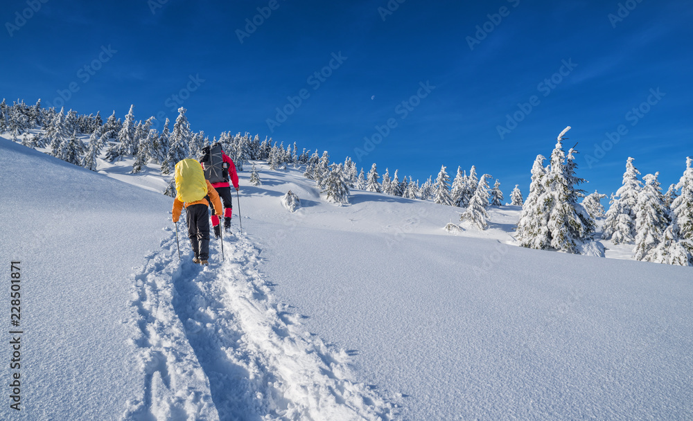 冬季徒步旅行。游客正在白雪覆盖的山区徒步旅行。