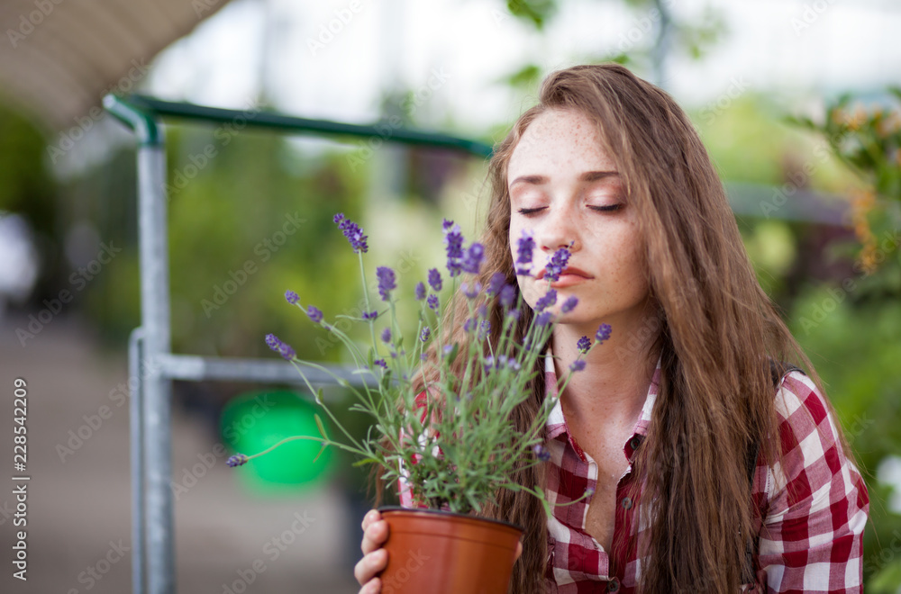 花园中心的年轻女子闻到盆栽薰衣草的花香