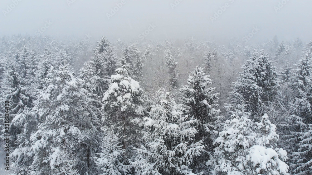 空中飞行：在白雪覆盖的森林上空飞行，而山脉中的白茫茫肆虐。