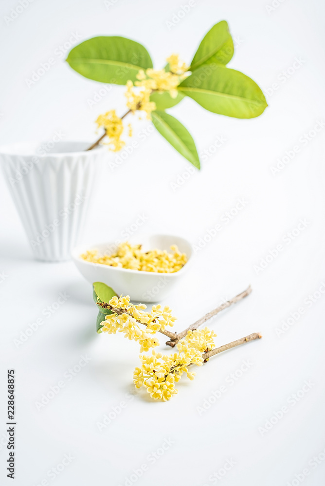 秋天采摘的新鲜桂花茶