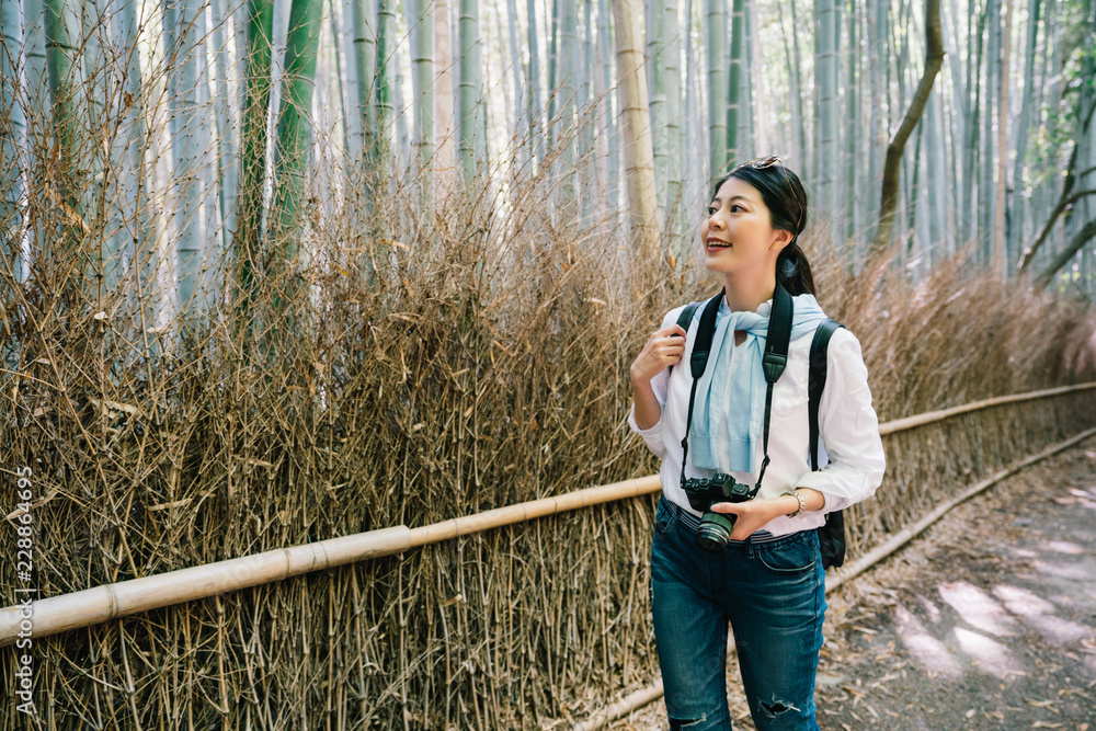 photographer relaxing walking in bamboo grove