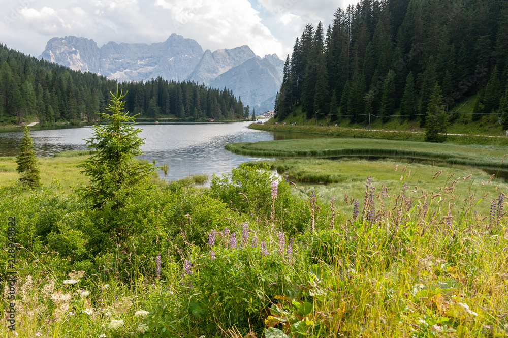 Impression of the shoreline of Lake Misurina, in the Italian Dolomites, on a Summers Afternoon.