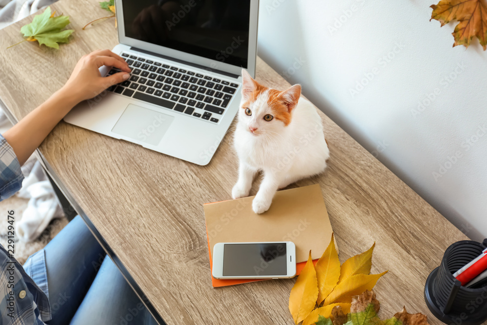 带着可爱小猫的女人在家里用笔记本电脑