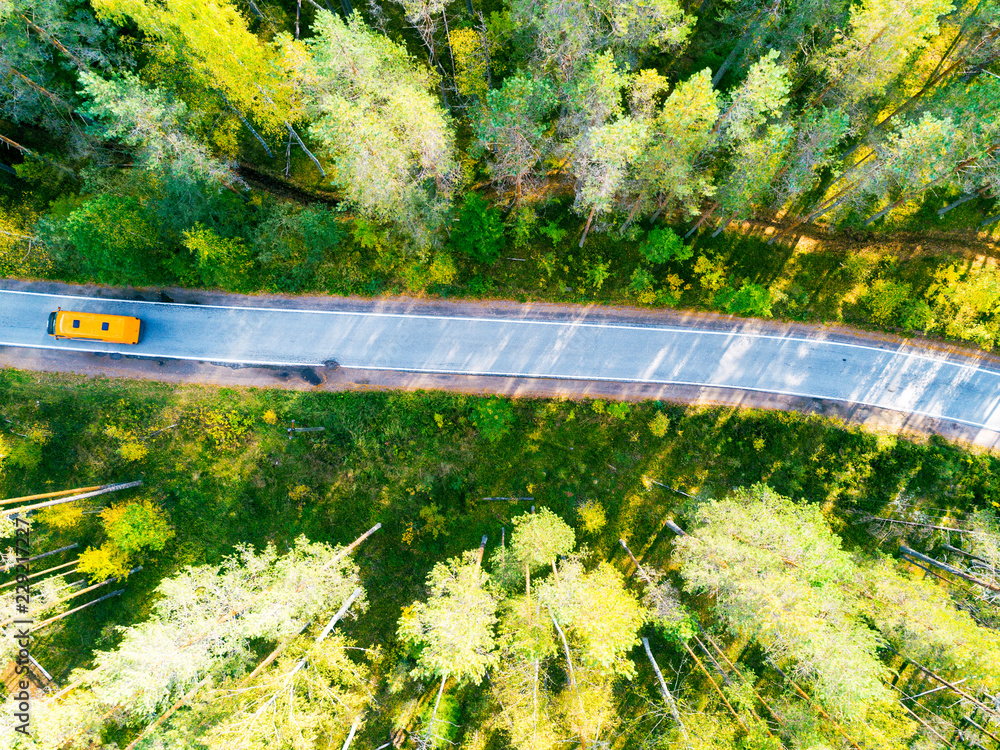 森林中一条乡村公路的鸟瞰图，车在行驶。风景。用相机从上方拍摄